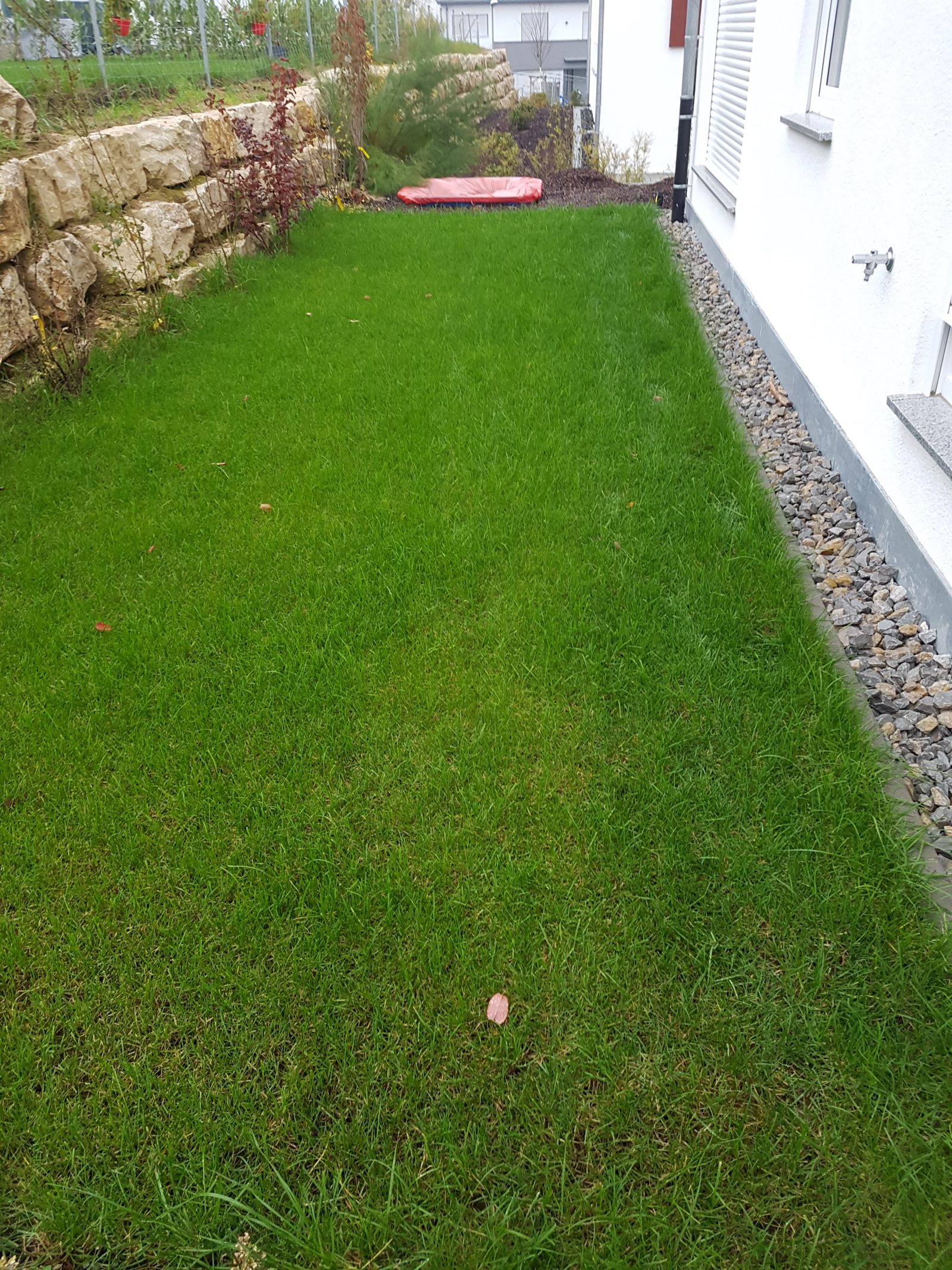 Gartenpflege